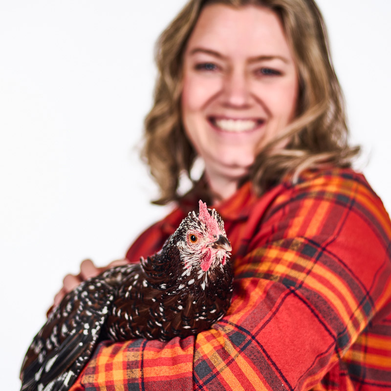 Jennifer Wood Chicken